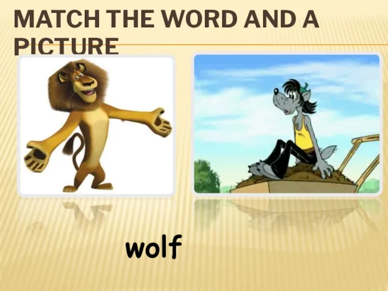 MATCH THE WORD AND A PICTURE wolf