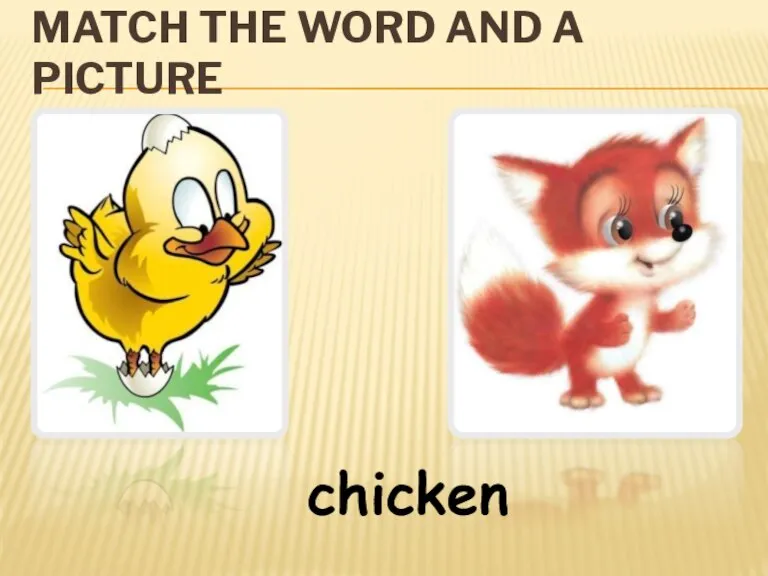 MATCH THE WORD AND A PICTURE chicken