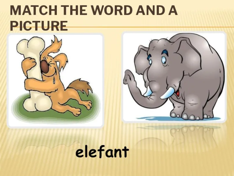 MATCH THE WORD AND A PICTURE elefant