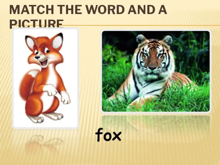 MATCH THE WORD AND A PICTURE fox