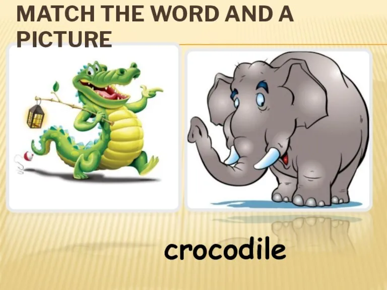 MATCH THE WORD AND A PICTURE crocodile