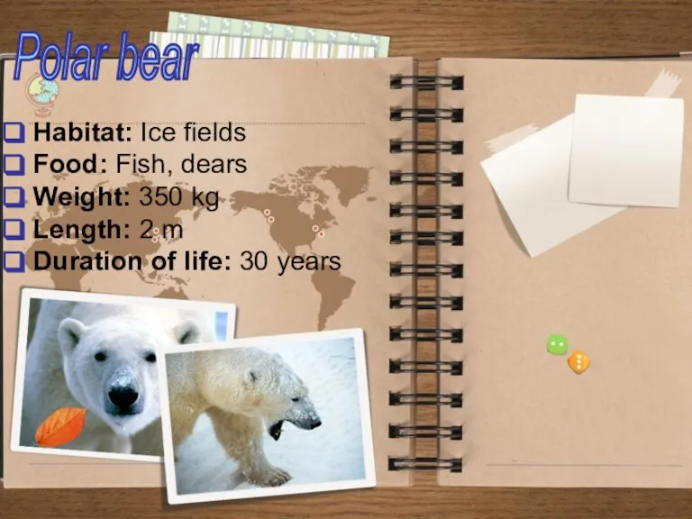 Habitat: Ice fields Food: Fish, dears Weight: 350 kg Length: 2 m
