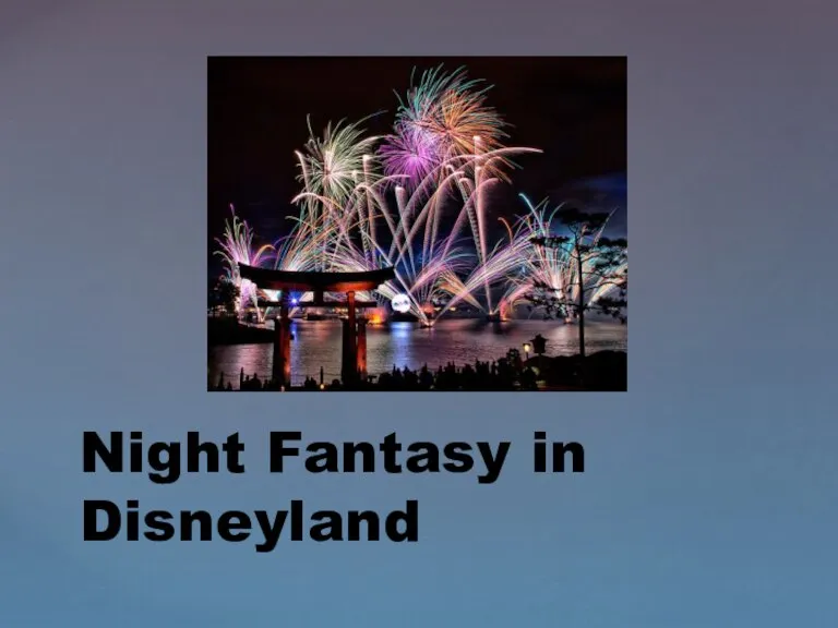 Night Fantasy in Disneyland