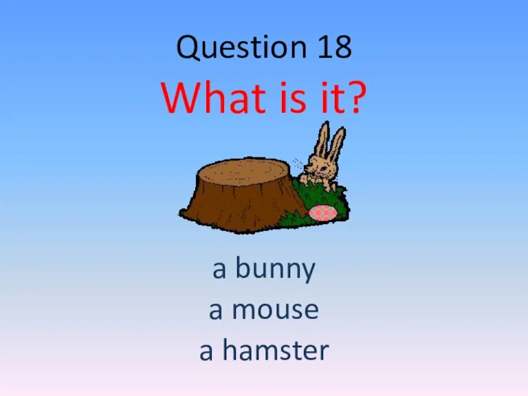 Question 18 What is it? a bunny a mouse a hamster