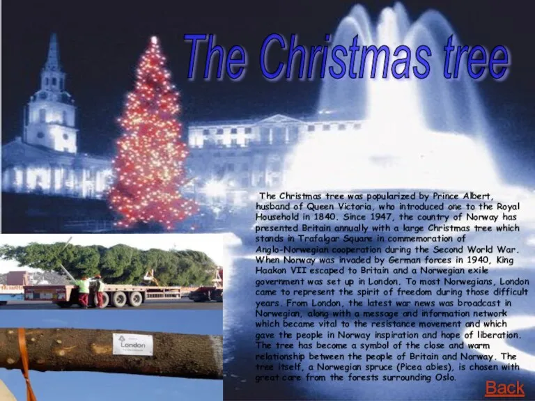 The Christmas tree was popularized by Prince Albert, husband of Queen Victoria,