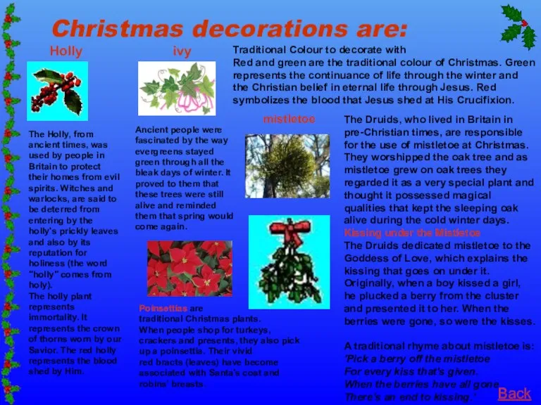 Christmas decorations are: Holly ivy Poinsettias are traditional Christmas plants. When people