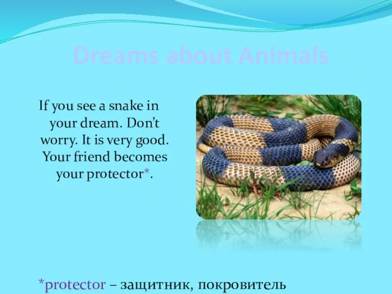 Dreams about Animals If you see a snake in your dream. Don’t