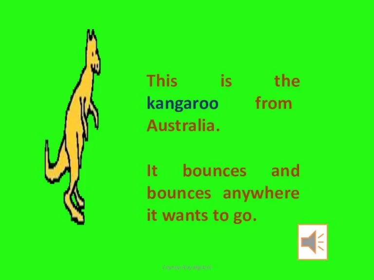 This is the kangaroo from Australia. It bounces and bounces anywhere it