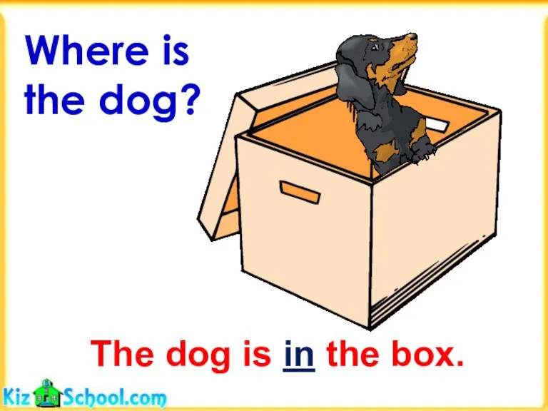 The dog is in the box. Where is the dog?