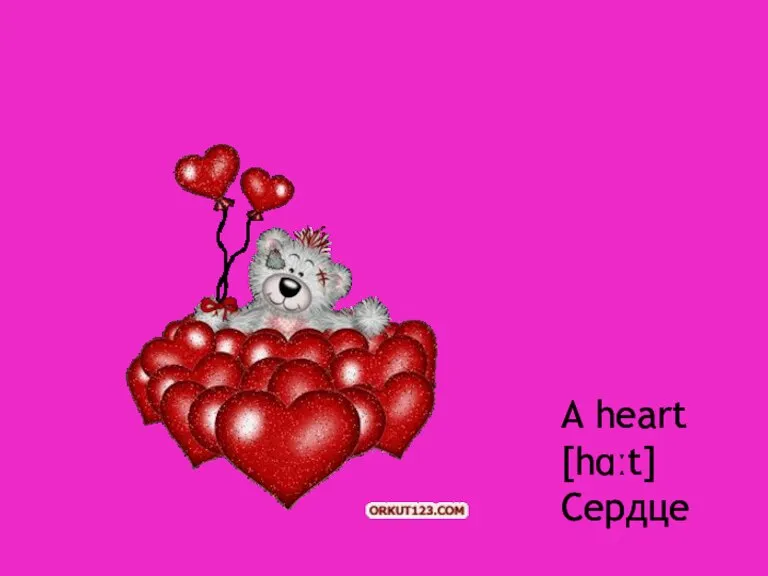 A heart [hɑːt] Сердце