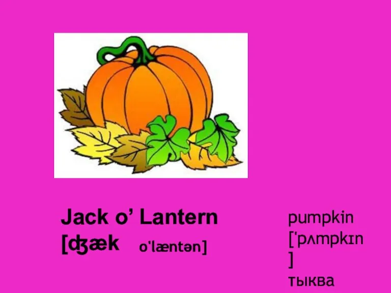 Jack o’ Lantern [ʤæk o'læntən] pumpkin ['pʌmpkɪn] тыква