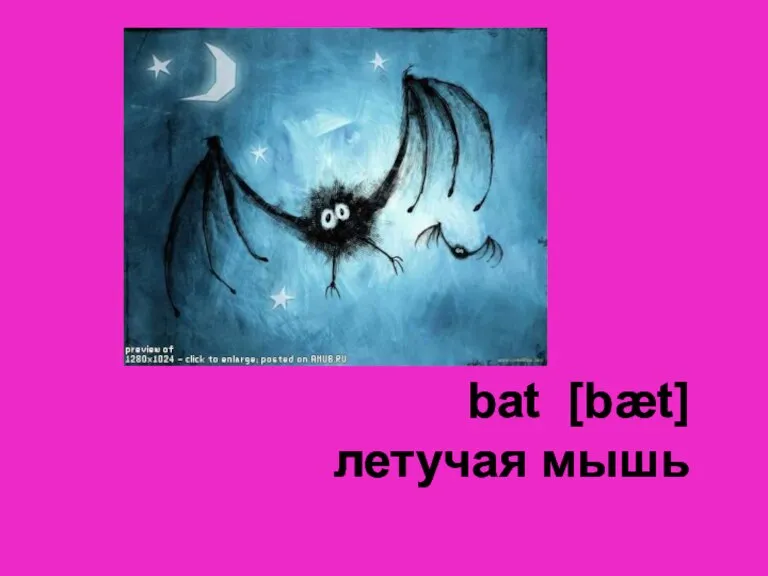 bat [bæt] летучая мышь