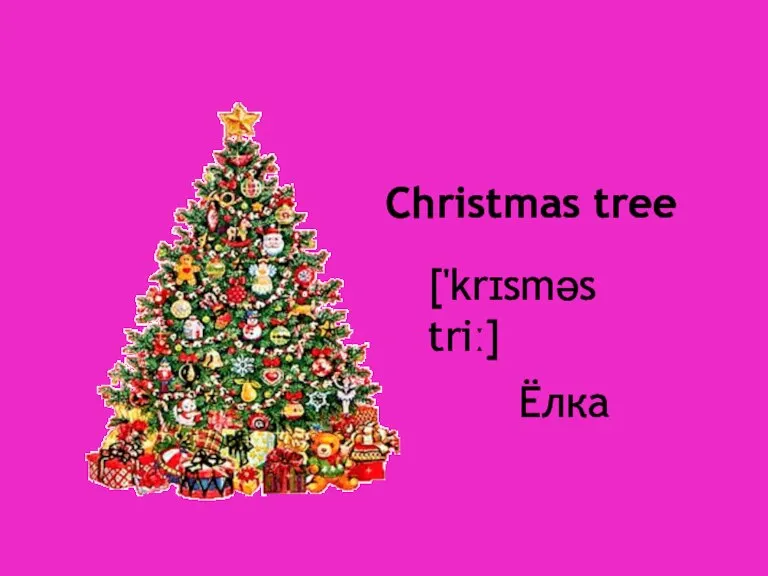 Christmas tree ['krɪsməs triː] Ёлка