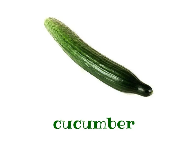 cucumber