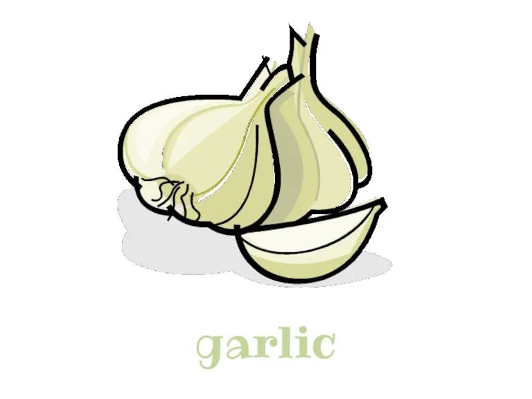 garlic