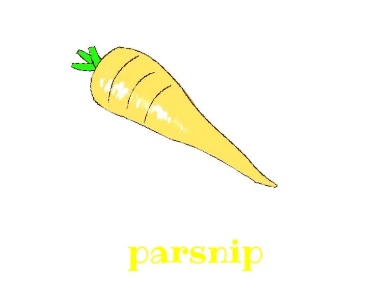 parsnip