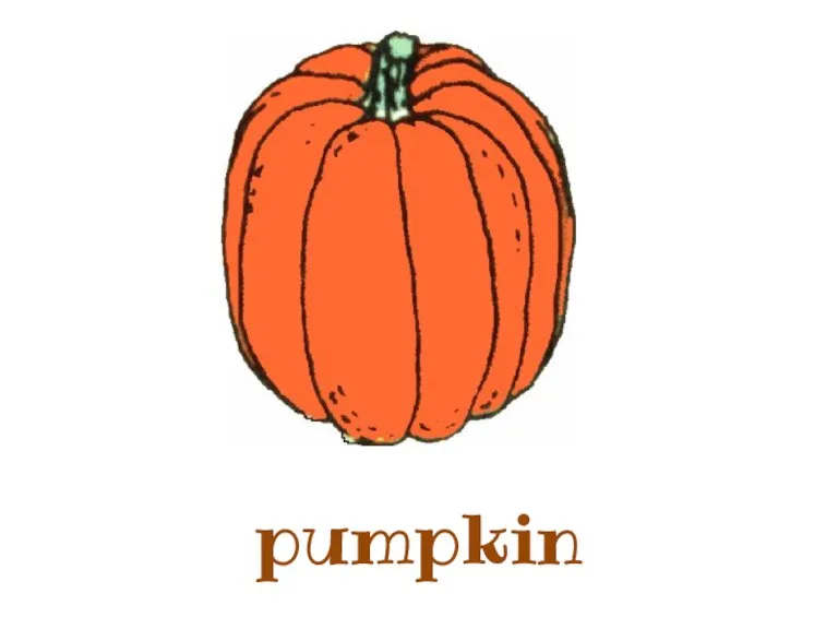 pumpkin