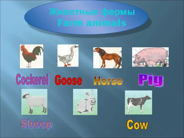 Horse Sheep Cockerel Goose Rabbit Pig Cow Животные фермы Farm animals