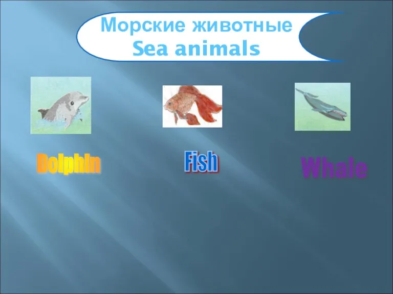 Морские животные Sea animals Fish Dolphin Whale