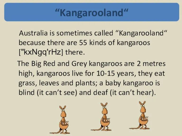 Australia is sometimes called “Kangarooland“ because there are 55 kinds of kangaroos