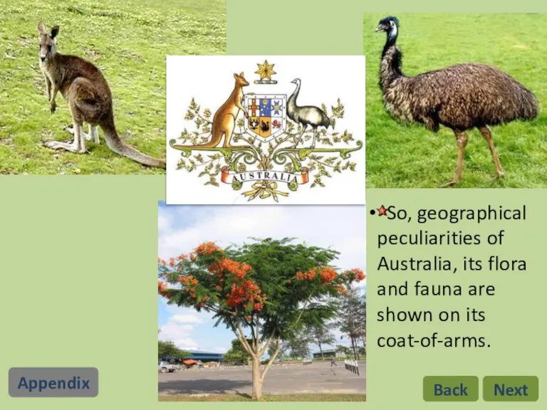 So, geographical peculiarities of Australia, its flora and fauna are shown on