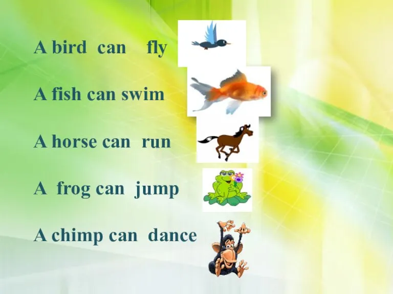 A bird can fly A fish can swim A horse can run