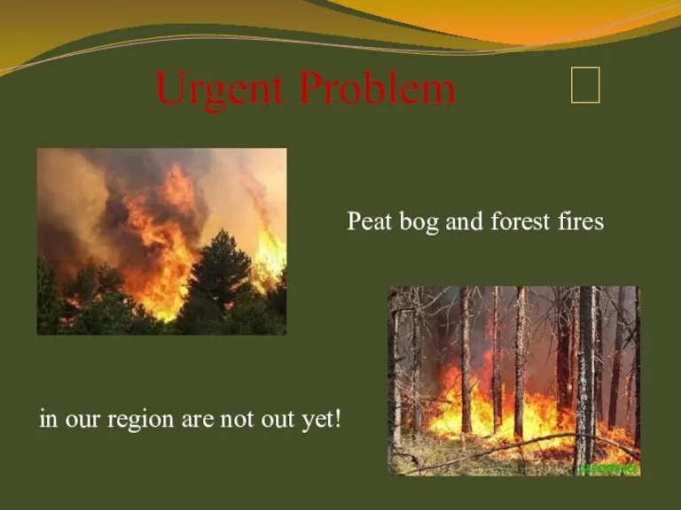 Urgent Problem  Peat bog and forest fires in our region are not out yet!