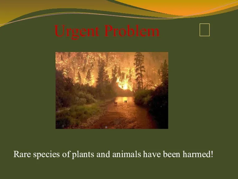 Urgent Problem  Rare species of plants and animals have been harmed!