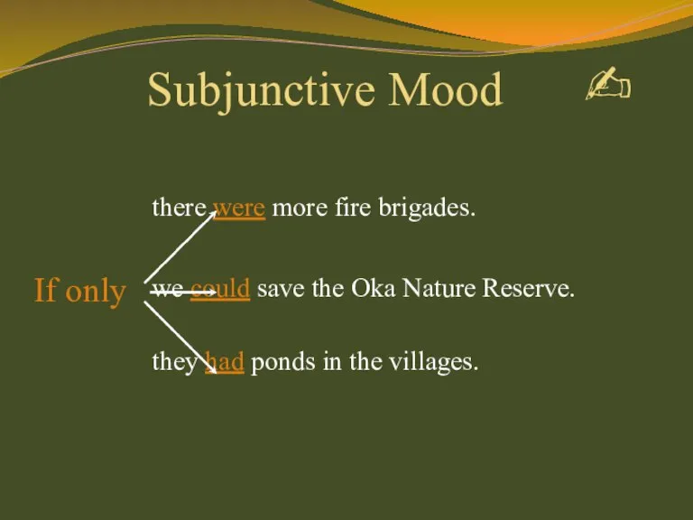 there were more fire brigades. we could save the Oka Nature Reserve.