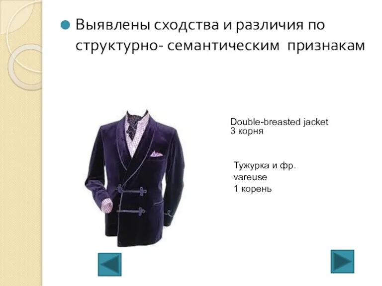 Выявлены сходства и различия по структурно- семантическим признакам Double-breasted jacket 3 корня