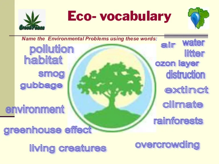 Eco- vocabulary Name the Environmental Problems using these words: pollution litter overcrowding
