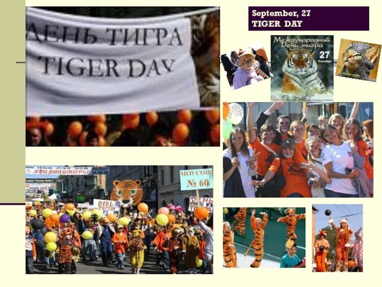 September, 27 TIGER DAY