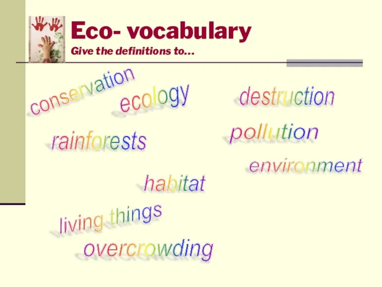 Eco- vocabulary Give the definitions to… ecology environment conservation rainforests habitat living things overcrowding destruction pollution