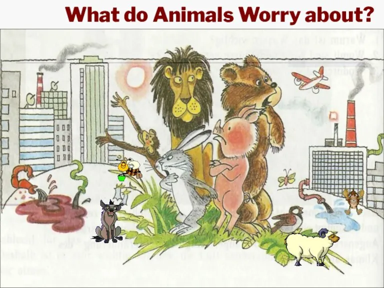 What do Animals Worry about?