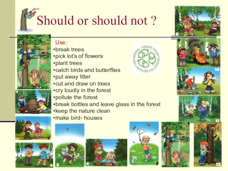 Should or should not ? Use: break trees pick lot’s of flowers