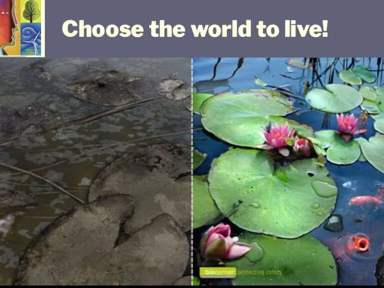 Choose the world to live!