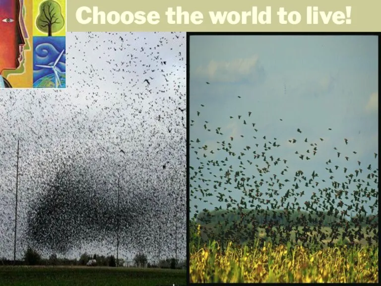 Choose the world to live!