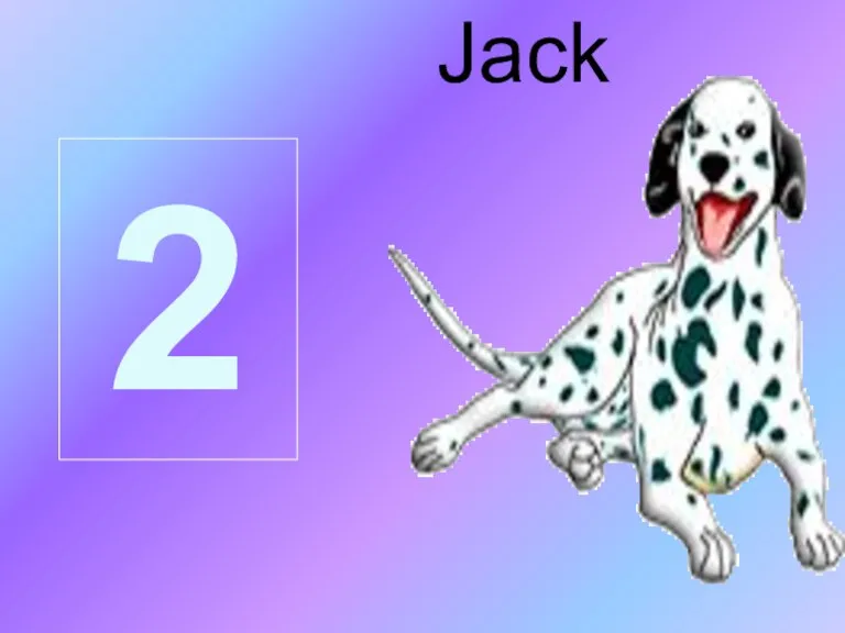 2 Jack