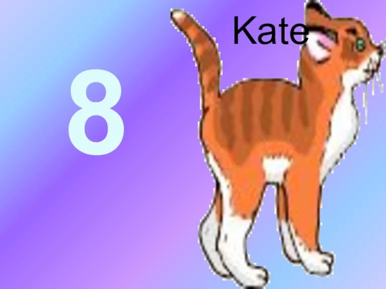 8 Kate