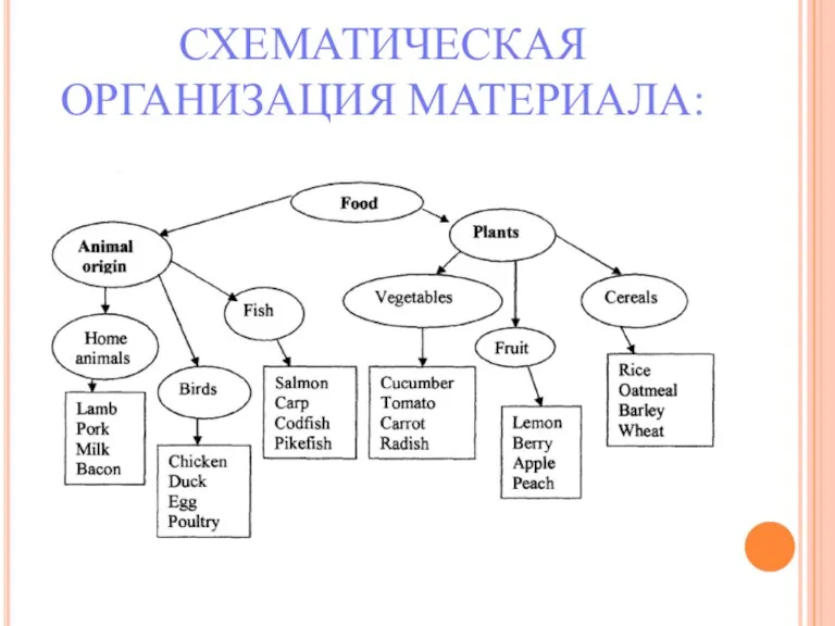 СХЕМАТИЧЕСКАЯ ОРГАНИЗАЦИЯ МАТЕРИАЛА: