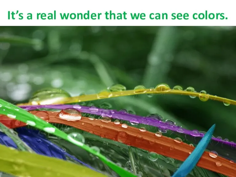 It’s a real wonder that we can see colors.