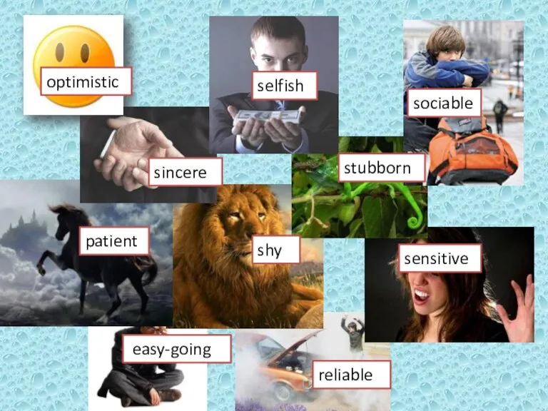 shy selfish reliable stubborn sincere sensitive sociable patient easy-going optimistic