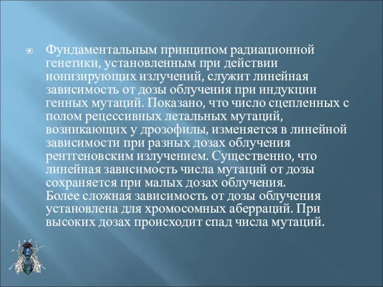 Фундаментальным принципом радиационной генетики, установленным при действии ионизирующих излучений, служит линейная зависимость