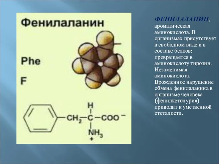 ФЕНИЛАЛАНИН, ароматическая аминокислота. В организмах присутствует в свободном виде и в составе