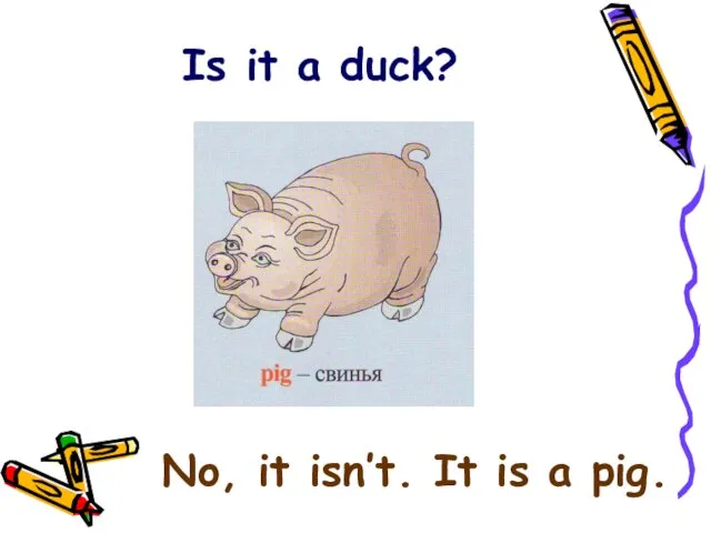 Is it a duck? No, it isn’t. It is a pig.