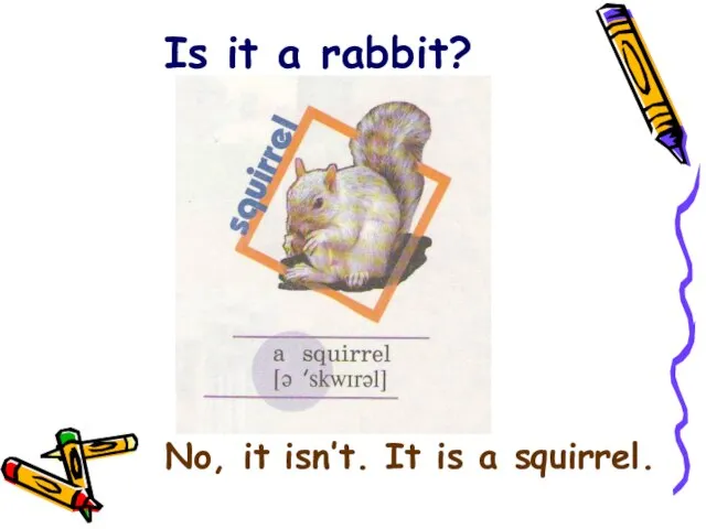 Is it a rabbit? No, it isn’t. It is a squirrel.