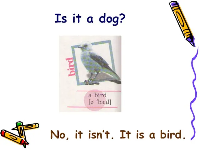 Is it a dog? No, it isn’t. It is a bird.