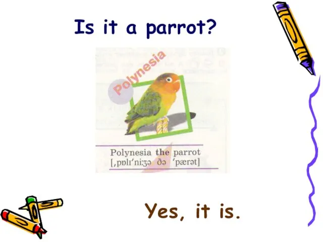 Is it a parrot? Yes, it is.