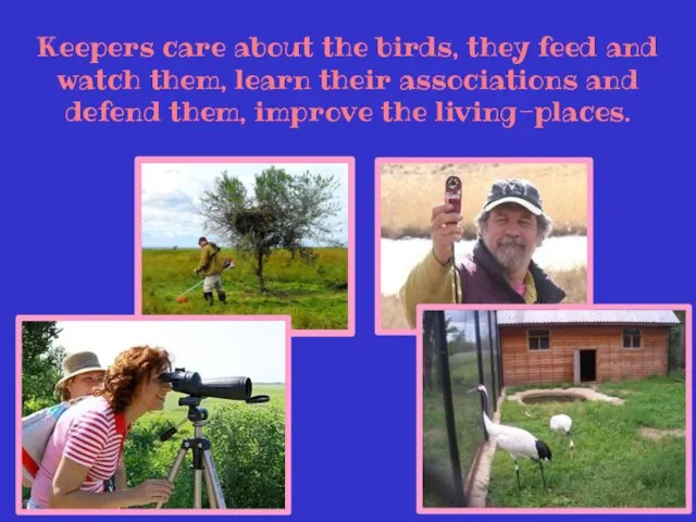 Keepers care about the birds, they feed and watch them, learn their