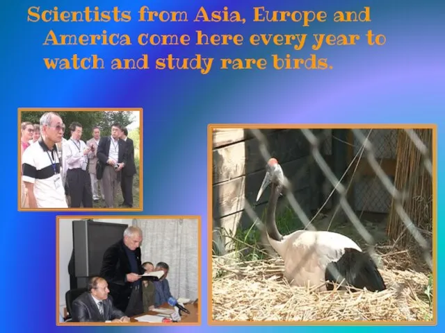 Scientists from Asia, Europe and America come here every year to watch and study rare birds.